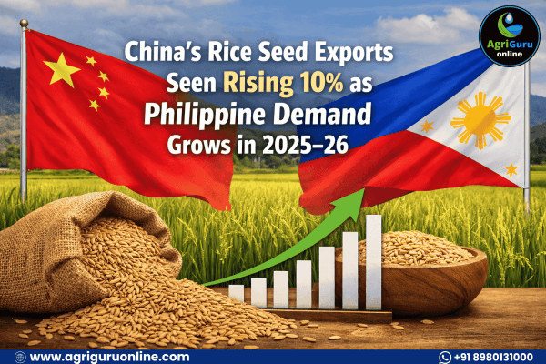 China’s Rice Seed Exports Seen Rising 10% as Philippine Demand Grows in 2025–26