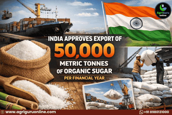 India permits export of 50,000 metric tonnes of organic sugar each financial year