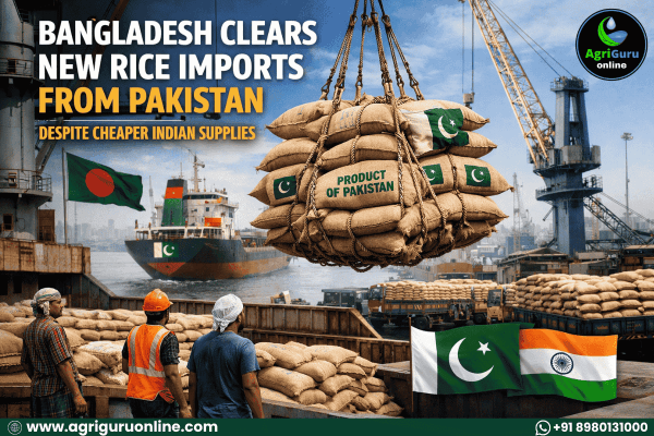 Bangladesh Clears New Rice Imports from Pakistan Despite Cheaper Indian Supplies