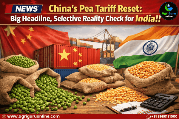 China’s Pea Tariff Reset: Big Headline, Selective Reality Check for India!!