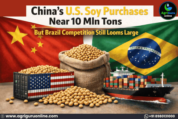 China’s U.S. Soy Purchases Near 10 Mln Tons but Brazil Competition Still Looms Large