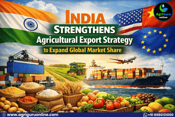 India Strengthens Agricultural Export Strategy to Expand Global Market Share
