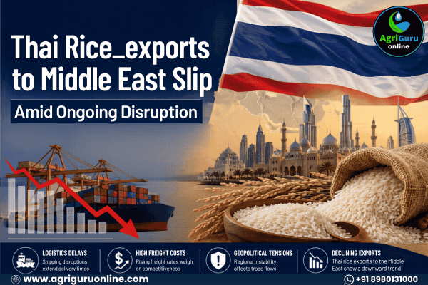 Thai Rice Exports to Middle East Slip Amid Ongoing Disruption
