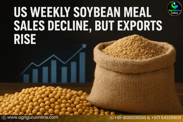 US weekly soybean meal sales decline, but exports rise