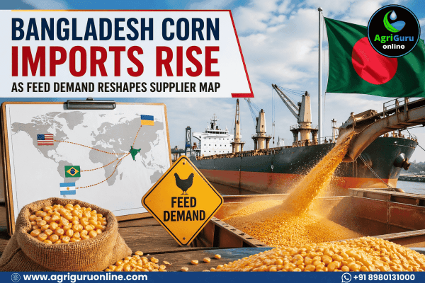 Bangladesh Corn Imports Rise as Feed Demand Reshapes Supplier Map