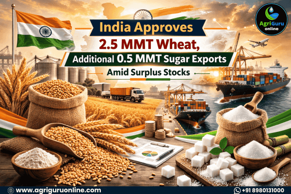India Approves 2.5 MMT Wheat, Additional 0.5 MMT Sugar Exports Amid Surplus Stocks