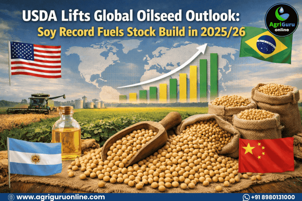 USDA Lifts Global Oilseed Outlook: Soy Record Fuels Stock Build in 2025/26