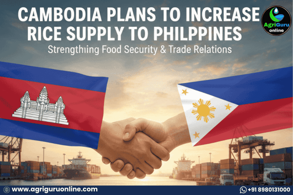 Cambodia Plans to Increase Rice Supply to Philippines