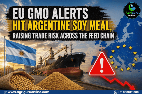 EU GMO Alerts Hit Argentine Soy Meal, Raising Trade Risk Across the Feed Chain