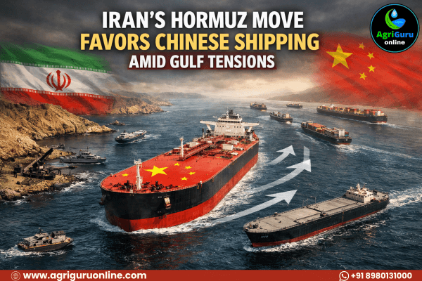 Iran’s Hormuz Move Favors Chinese Shipping Amid Gulf Tensions.