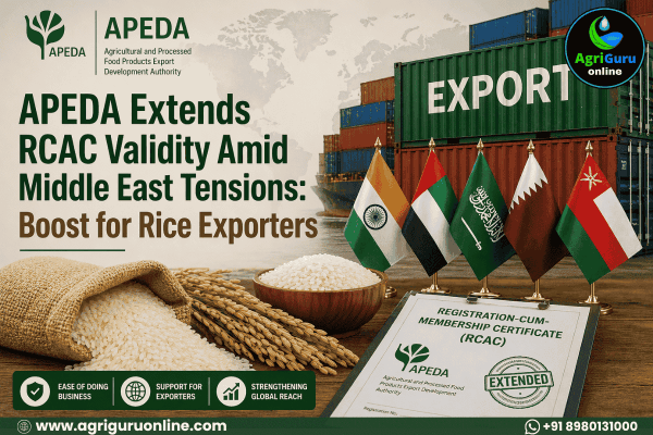 APEDA Extends RCAC Validity Amid Middle East Tensions: Boost for Rice Exporters