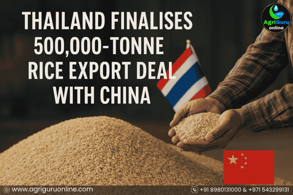 Thailand Finalises 500,000-Tonne Rice Export Deal With China