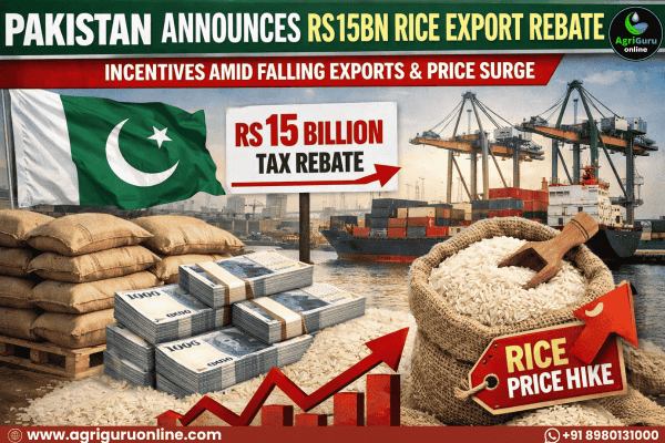 Pakistan allocates Rs15bn rice export tax rebate amid declining shipments and domestic price risks.