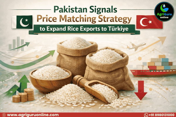 Pakistan Signals Price Matching Strategy to Expand Rice Exports to Türkiye