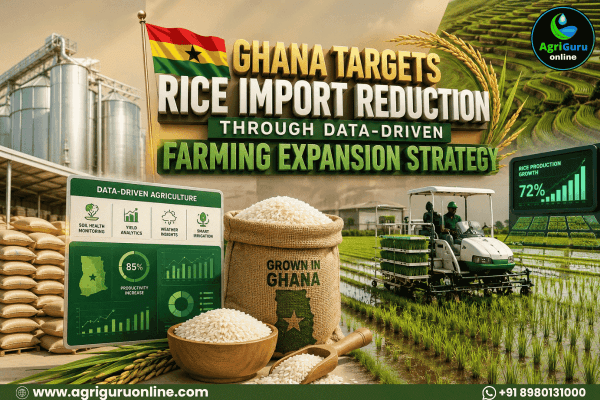 Ghana Targets Rice Import Reduction Through Data-Driven Farming Expansion Strategy
