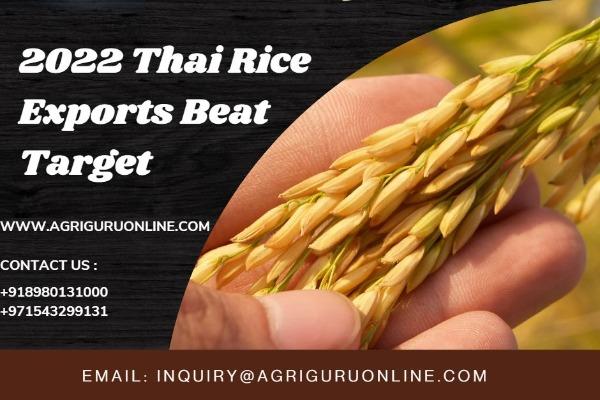 2022 Rice Exports Beat Target