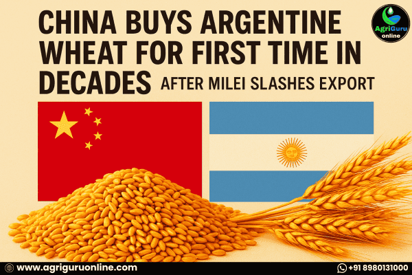 China Buys Argentine Wheat for First Time in Decades After Milei Slashes Export Tariffs