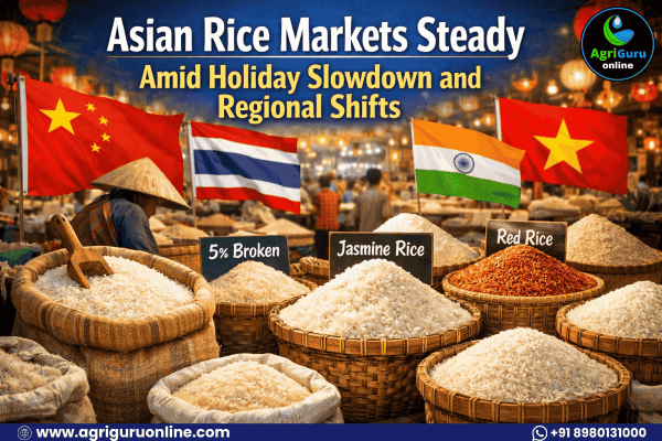 Asian Rice Markets Steady Amid Holiday Slowdown and Regional Shifts