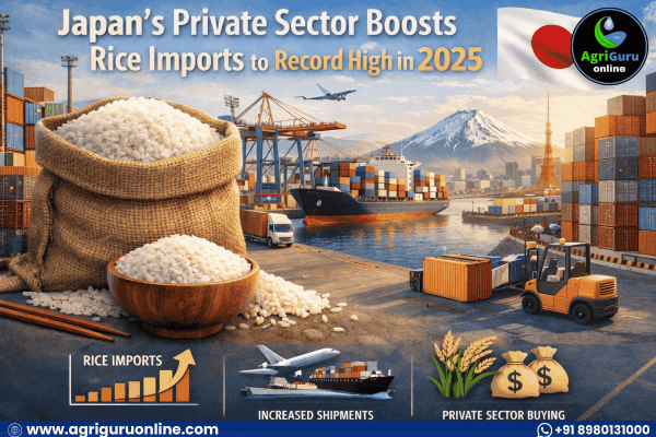 Japan’s Private Sector Boosts Rice Imports to Record High in 2025