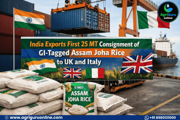 India Exports First 25 MT Consignment of GI-Tagged Assam Joha Rice to UK and Italy