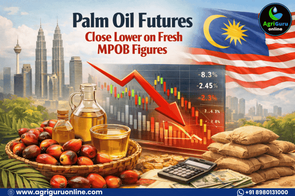 Palm Oil Futures Close Lower on Fresh MPOB Figures