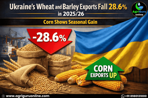 Ukraine’s Wheat and Barley Exports Fall 28.6% in 2025/26, Corn Shows Seasonal Gain