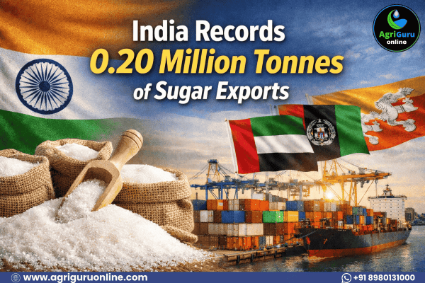 India Records 0.20 Million Tonnes of Sugar Exports