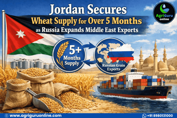Jordan Secures Wheat Supply for Over 5 Months as Russia Expands Middle East Exports