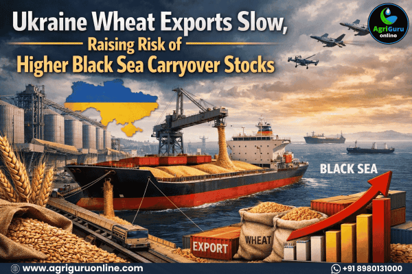 Ukraine Wheat Exports Slow, Raising Risk of Higher Black Sea Carryover Stocks