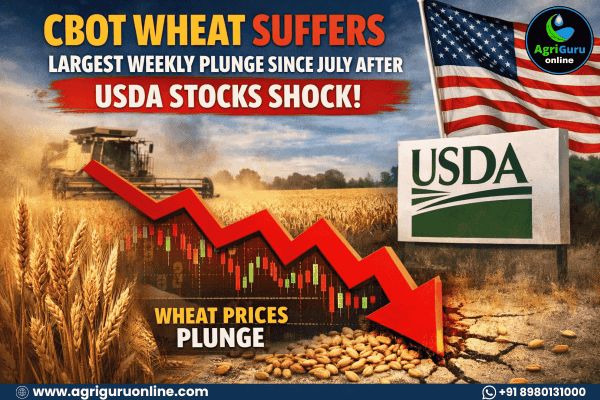 CBOT Wheat Suffers Largest Weekly Plunge Since July After USDA Stocks Shock