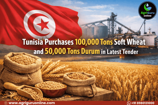 Tunisia Purchases 100,000 Tons Soft Wheat and 50,000 Tons Durum in Latest Tender