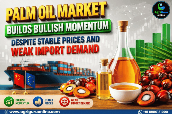 Palm Oil Market Builds Bullish Momentum Despite Stable Prices and Weak Import Demand
