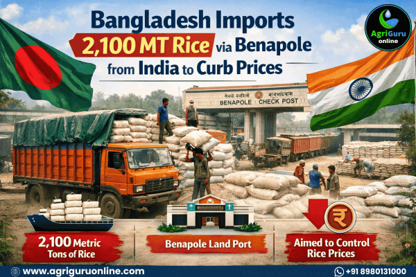 Bangladesh Imports 2,100 MT Rice via Benapole from India to Curb Prices