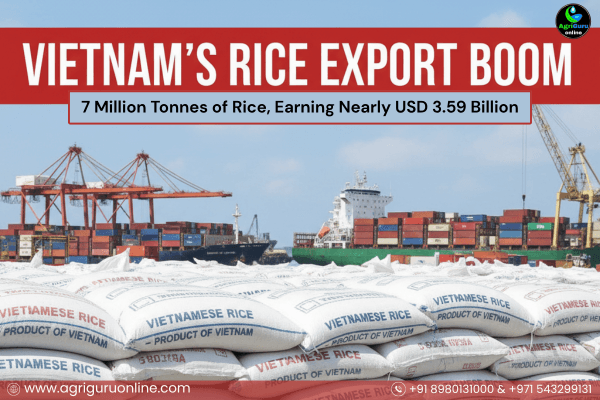 Vietnam Exports 7 Million Tonnes of Rice, Earning Nearly USD 3.59 Billion