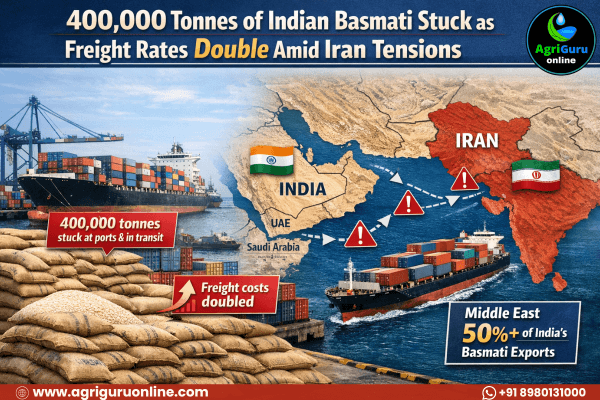 400,000 Tonnes of Indian Basmati Stuck as Freight Rates Double Amid Iran Tensions