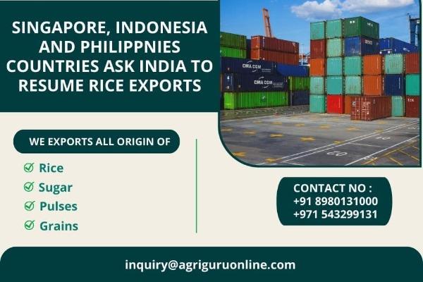 Singapore, Indonesia And Philippines Countries Ask India To Resume Rice Exports