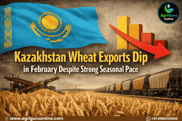 Kazakhstan Wheat Exports Dip in February Despite Strong Seasonal Pace