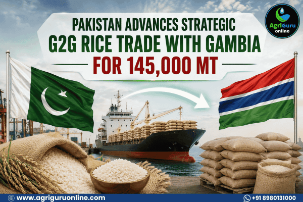 Pakistan Advances Strategic G2G Rice Trade with Gambia for 145,000 MT