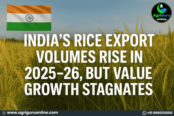 India’s Rice Export Volumes Rise in 2025–26, but Value Growth Stagnates