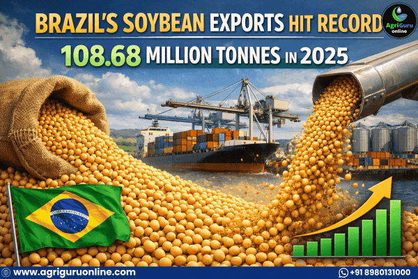 Brazil’s Soybean Exports Hit Record 108.68 Million Tonnes in 2025