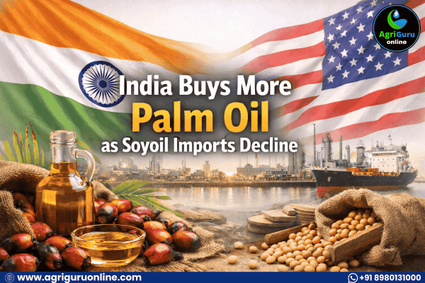 India Buys More Palm Oil as Soyoil Imports Decline