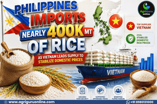 Philippines Imports Nearly 400k MT of Rice as Vietnam Leads Supply to Stabilize Domestic Prices