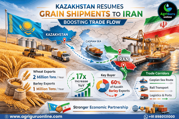 Kazakhstan Resumes Grain Shipments to Iran, Boosting Trade Flow