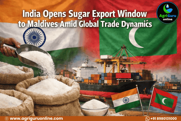 India Opens Sugar Export Window to Maldives Amid Global Trade Dynamics