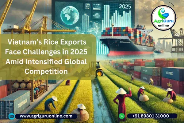 Vietnam’s Rice Exports Face Challenges in 2025 Amid Intensified Global Competition
