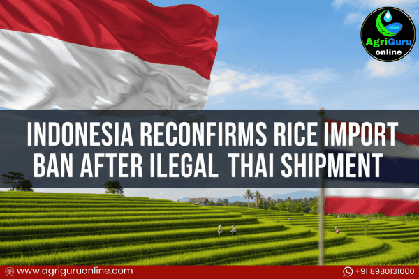 Indonesia Reconfirms Rice Import Ban After Illegal Thai Shipment