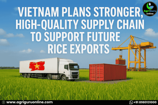 Vietnam Plans Stronger, High-Quality Supply Chain to Support Future Rice Exports
