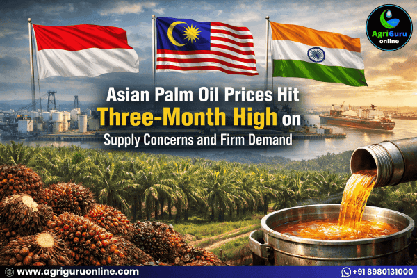 Asian Palm Oil Prices Hit Three-Month High on Supply Concerns and Firm Demand