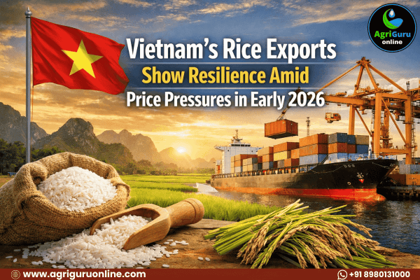 Vietnam's Rice Exports Show Resilience Amid Price Pressures in Early 2026