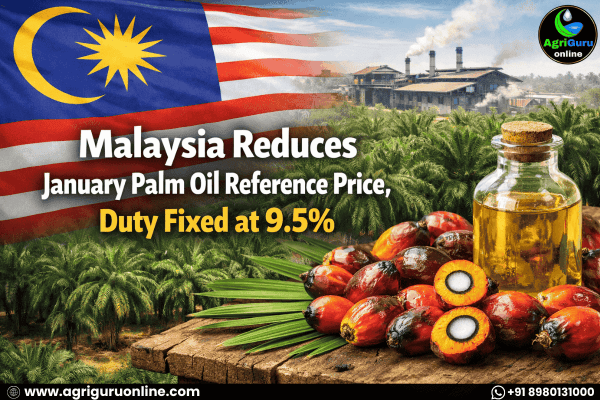 Malaysia Reduces January Palm Oil Reference Price, Duty Fixed at 9.5%